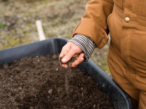 Terramera receives $1 million from BC to measure carbon levels in soil