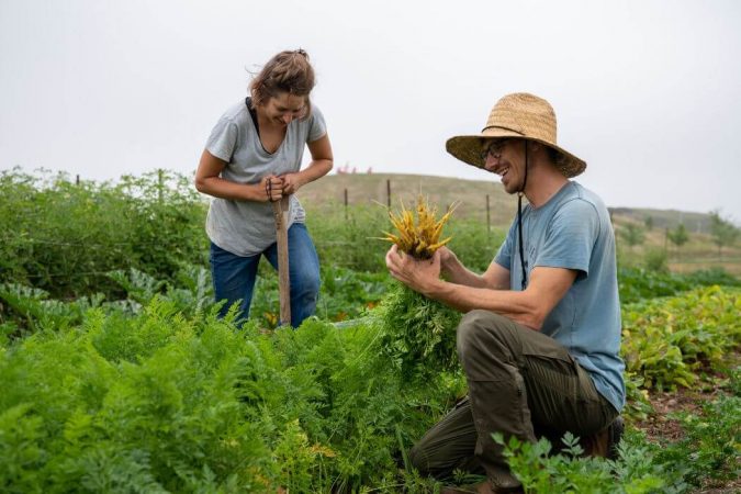 From seed to fork: building better food systems through impact investing