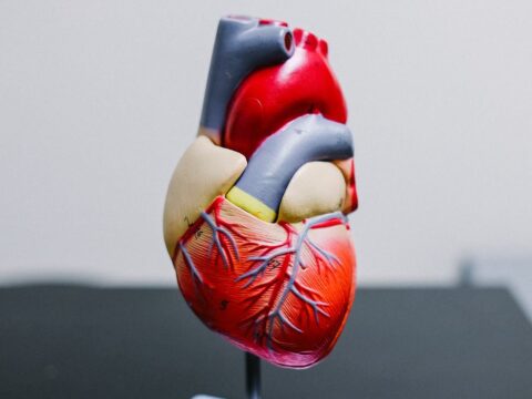 cardiovascular care